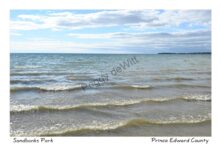Sandbanks Beach Waves #4495