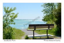 Sandbanks Bench Lake View #4391