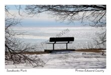 Sandbanks Bench Winter Cold #3779