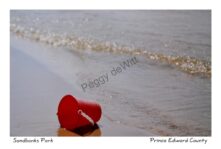 Sandbanks Bucket Red #3781