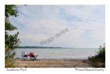 Sandbanks Chairs Outlet Scene #4299