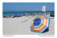 Sandbanks Colourful Umbrella #4406