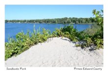 Sandbanks Dune Top Peak #4587