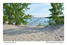 Sandbanks Dunes #4395