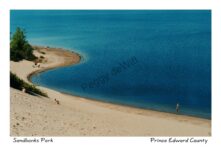 Sandbanks Dunes Beach #378