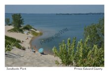 Sandbanks Dunes Blue Umbrella #3331