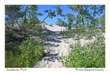 Sandbanks Dunes Hill People #4393