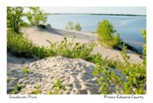 Sandbanks Dunes Sand West Lake #2663