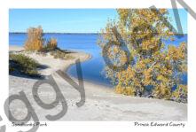 Sandbanks Dunes View Fall #4496
