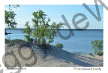 Sandbanks Dunes West Lake Bush #3336