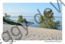 Sandbanks Dunes West Lake Hill #3947