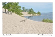 Sandbanks Dunes to S-Shape #4397