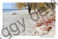 Sandbanks Fall Lakeview Beach #4497