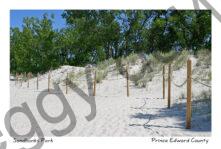 Sandbanks Fence #4412