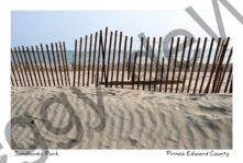 Sandbanks Fence Ripples #4647