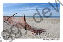 Sandbanks Fence Spring #4646