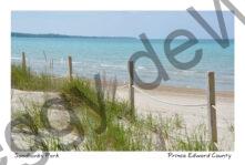 Sandbanks Grass Fence Aqua #4176