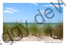 Sandbanks Grass Sand Sky #3610