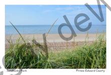 Sandbanks Grass Snowfence #4101