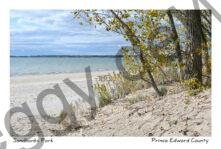 Sandbanks Lakeview Beach #4500