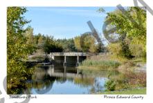 Sandbanks Outlet Bridge Fall #3343