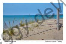 Sandbanks Outlet Dune #3788