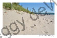 Sandbanks Outlet Dune #4554