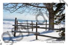 Sandbanks Outlet Fence Winter #3345
