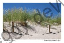 Sandbanks Outlet Grass Sand Sky #3953