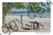 Sandbanks Outlet Hat Table #3790
