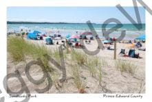 Sandbanks Outlet Ken #3613