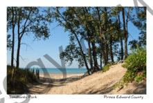 Sandbanks Outlet Lane #2670