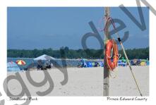 Sandbanks Outlet Life Preserver #4414