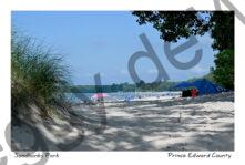 Sandbanks Outlet Opening #4415