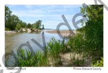 Sandbanks Outlet River Grass #3791