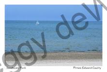 Sandbanks Outlet Sailboat #4416