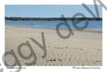 Sandbanks Outlet Sand Ripples #3792