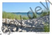 Sandbanks Outlet Sand Rope #3793