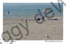 Sandbanks Outlet Umbrella One #3957