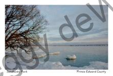 Sandbanks Outlet Winter 3 #1200