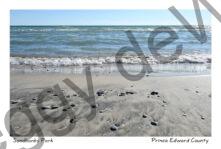 Sandbanks Pebbles #4419