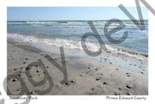 Sandbanks Pebbles & Waves #4418