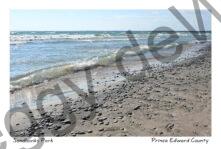 Sandbanks Pebbly Beach #4420