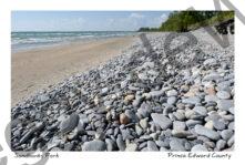 Sandbanks Pebbly Shore Closeup #4421