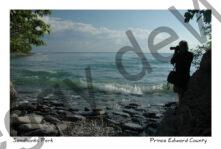 Sandbanks Photographer #2092