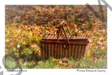 Sandbanks Picnic Basket Fall #4302