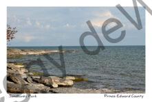 Sandbanks Rocky Shore #4424