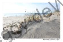 Sandbanks Sandy Hill with Grass #4502