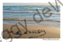 Sandbanks Shore County #3376