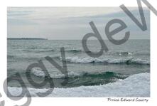 Sandbanks Shore Winter #4431